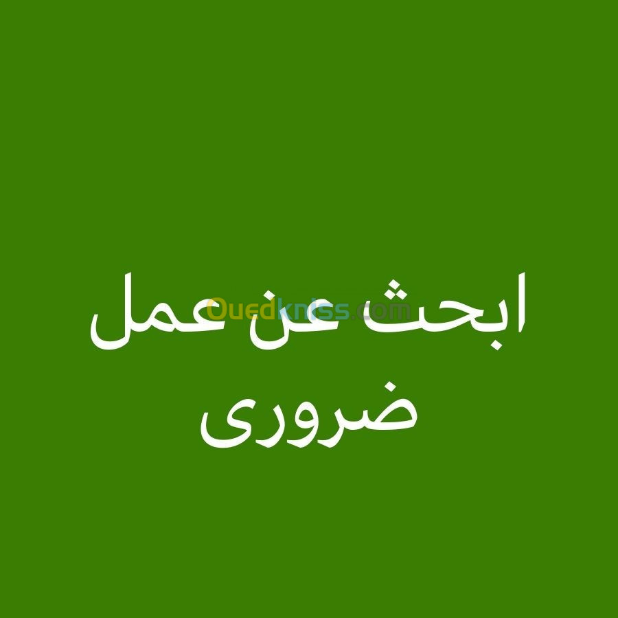 ابحث عن عمل في مطاعم او محلات سرفوز /فوندوز الجزائر العاصمة وضواحيها