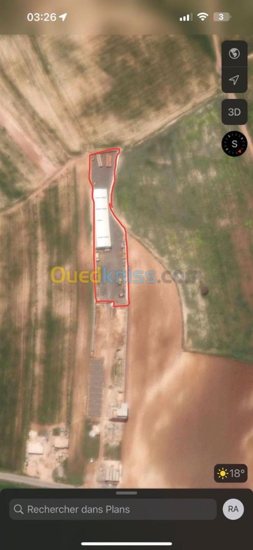 Vente Terrain Bouira Oued el berdi