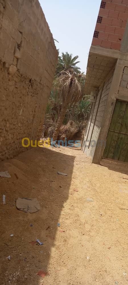 Vente Terrain Ouargla Ouargla