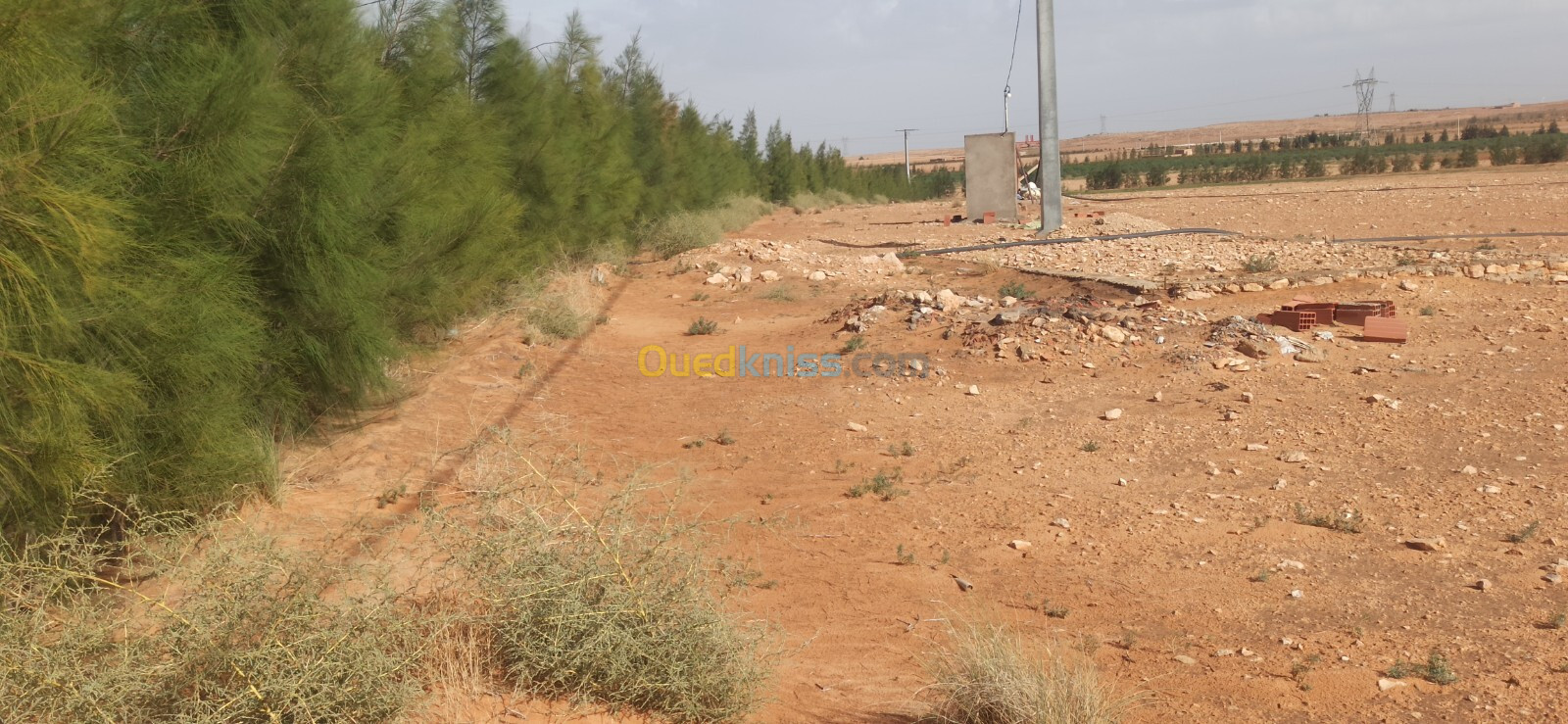 Vente Terrain Agricole Djelfa Ain oussara