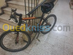 velo orus Oran Algeria