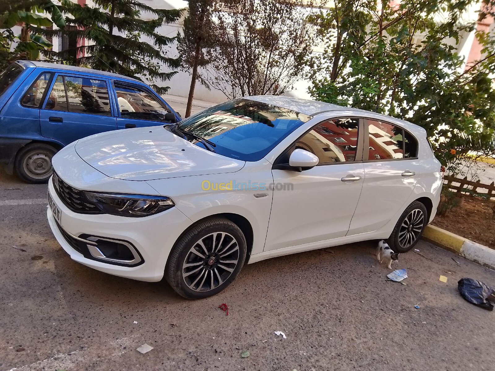 Fiat Tipo 2024 