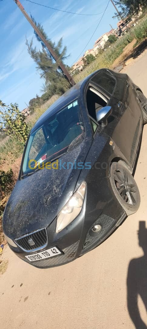 Seat Ibiza 2010 Loca