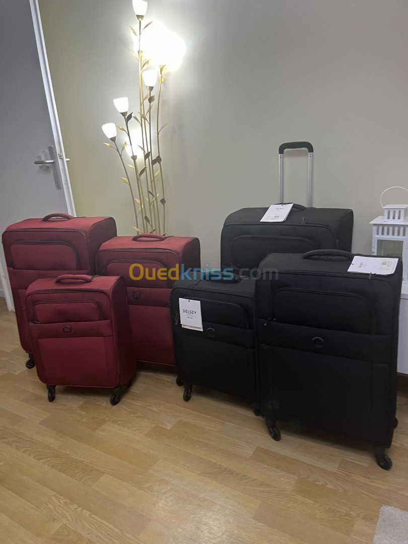 Valise delsey trio 