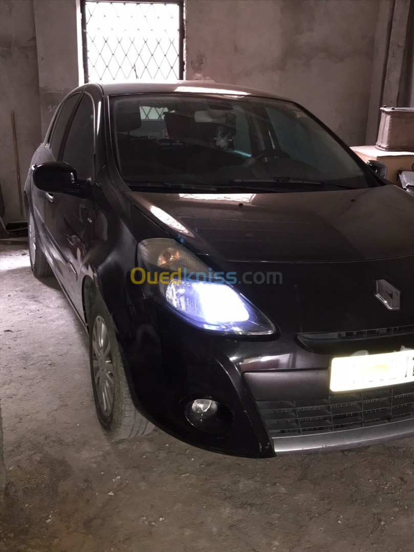 Renault Clio 3 2011 Night and Day