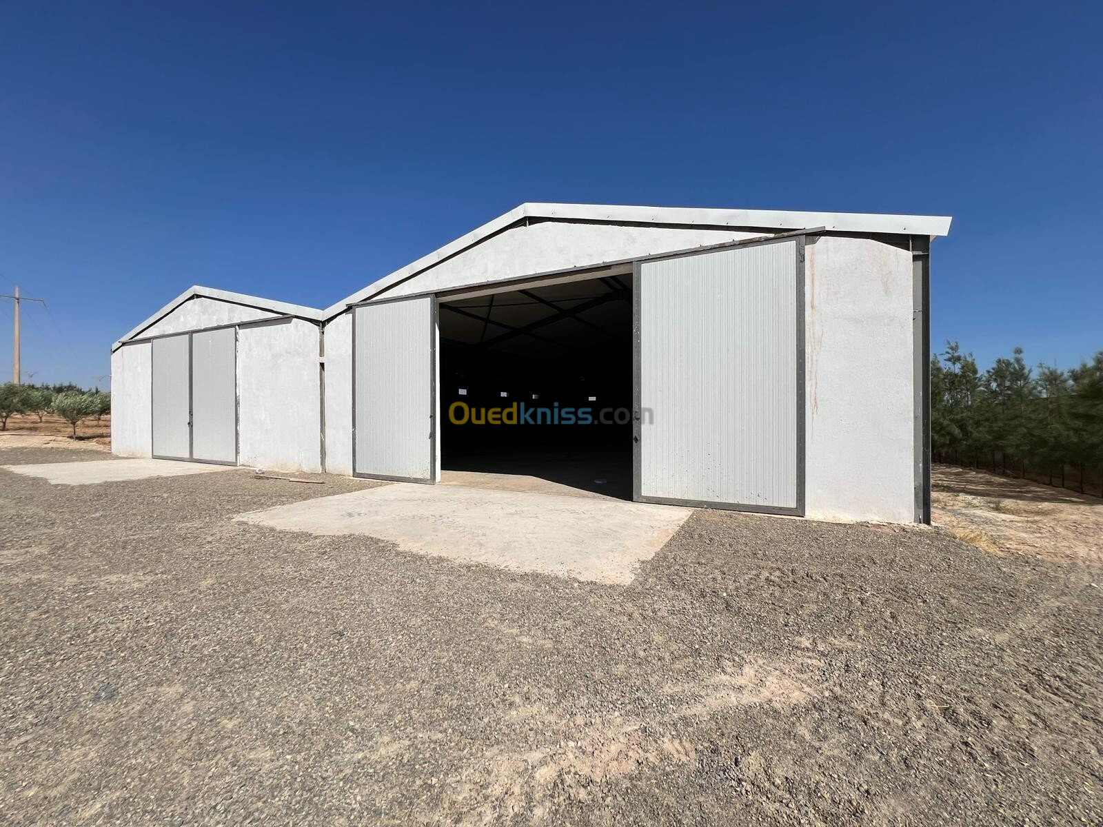 Location Hangar Sidi Bel Abbès Sidi bel abbes