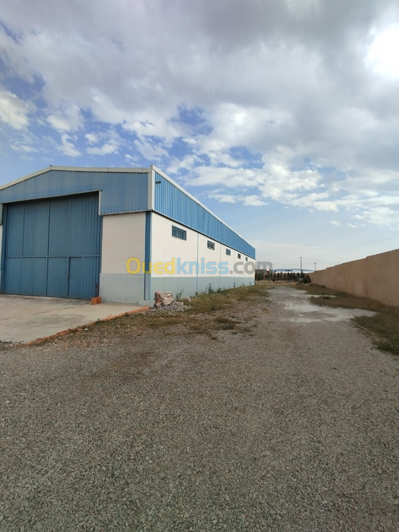 Location Hangar Sétif Ouled sabor