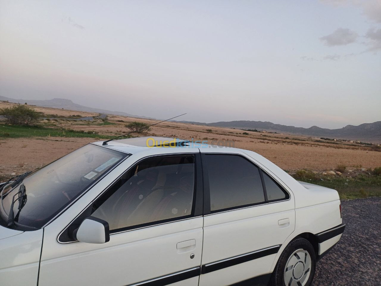 Peugeot 405 1992 405