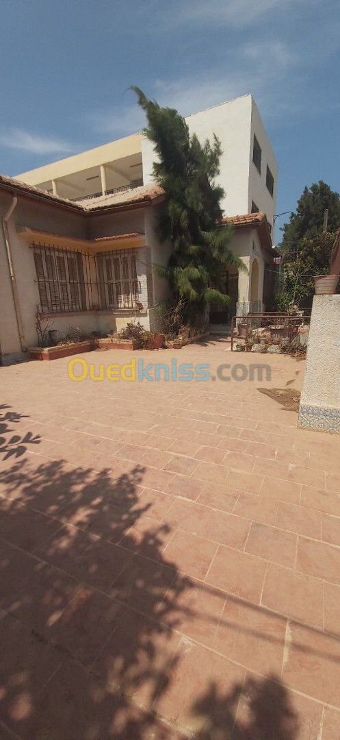 Vente Villa Alger Bouzareah