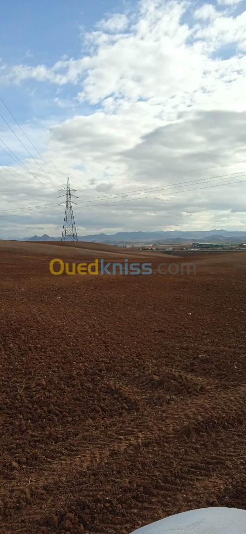 Vente Terrain Bouira Oued el berdi