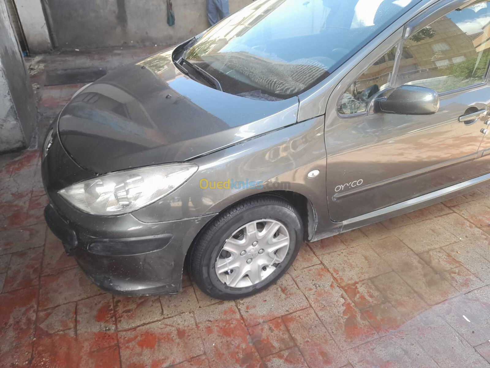 Peugeot 307 2007 307