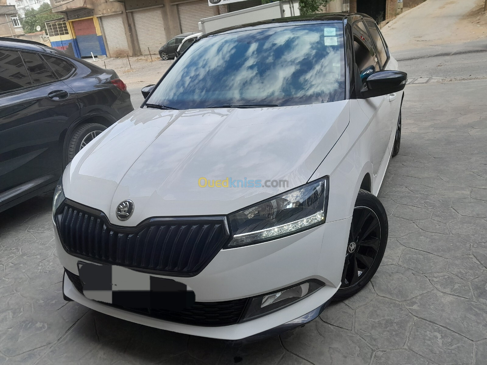 Skoda Fabia 2020 Monte Carlo