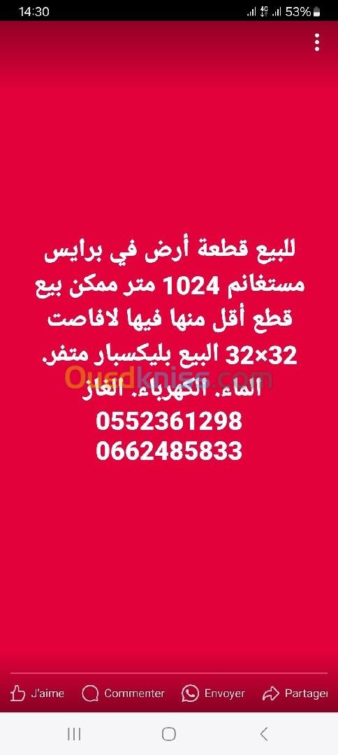 Vente Terrain Mostaganem Hassi maameche