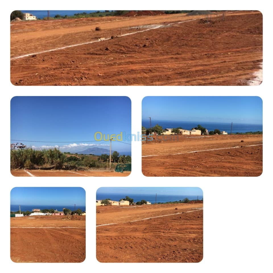 Vente Terrain Tipaza Ain tagourait