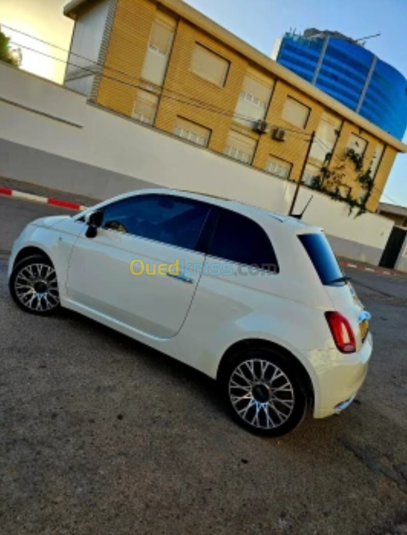 Fiat 500 2024 Ducivita