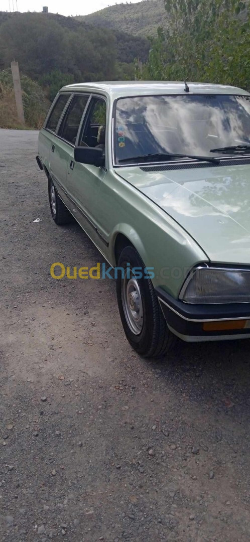 Peugeot 505 1982 505