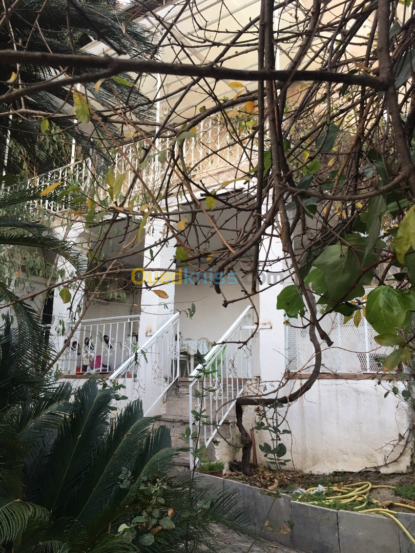 Vente Villa Alger El biar