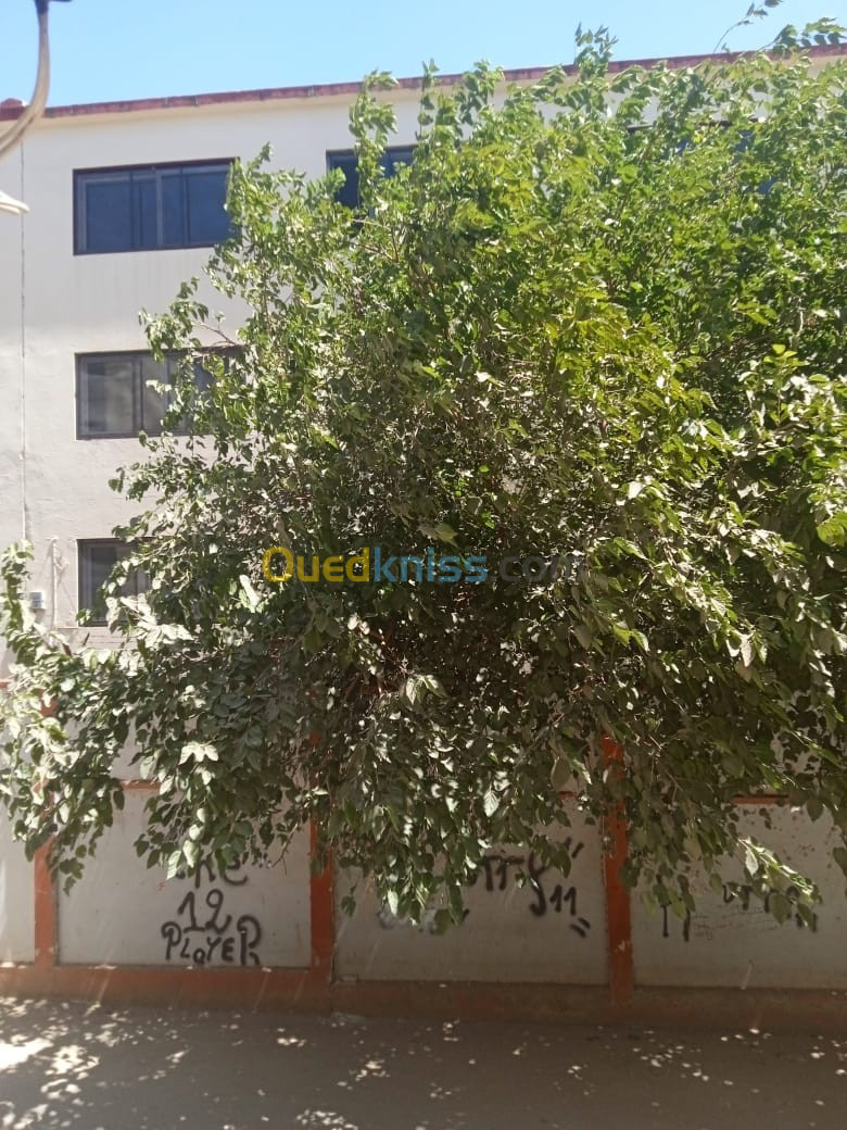 Vente Appartement F2 Alger Gue de constantine