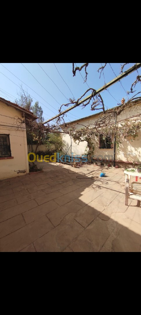 Vente Villa Sidi Bel Abbès Sidi bel abbes