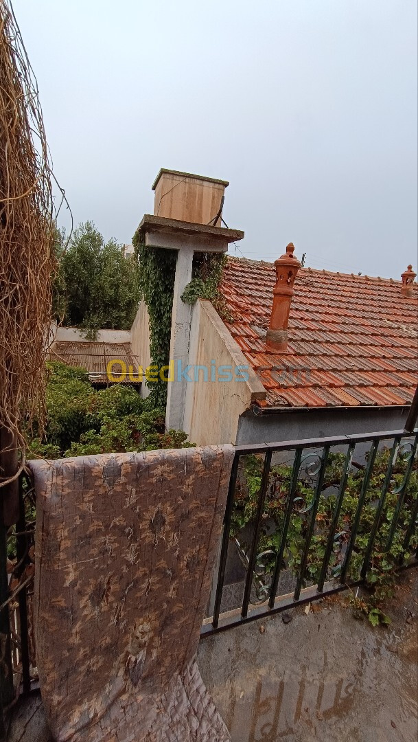 Vente Villa Sidi Bel Abbès Sidi bel abbes