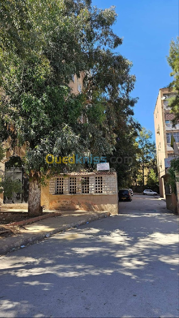 Vente Appartement F4 Sidi Bel Abbès Sidi bel abbes