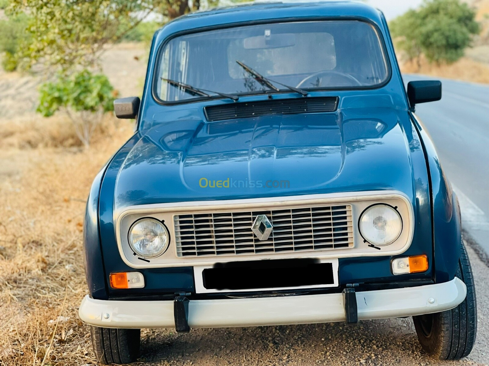 Renault 4 1989 4