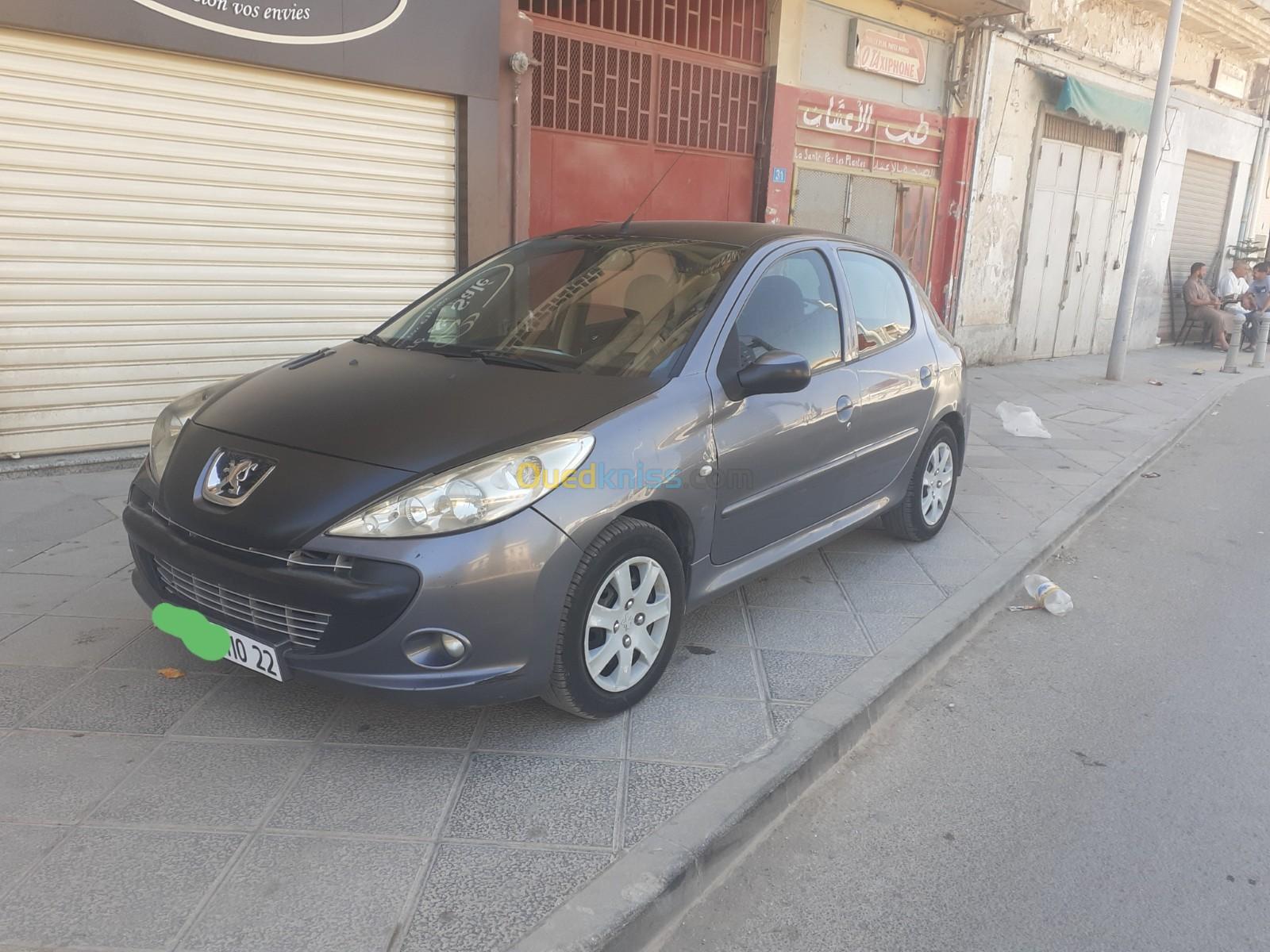 Peugeot 206 Plus 2010 La route