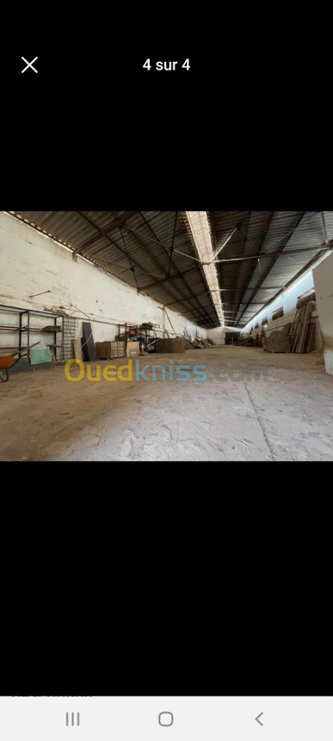 Vente Hangar Oran El braya