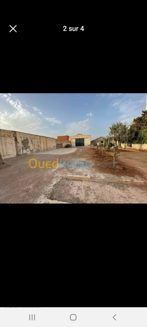 Vente Hangar Oran El braya