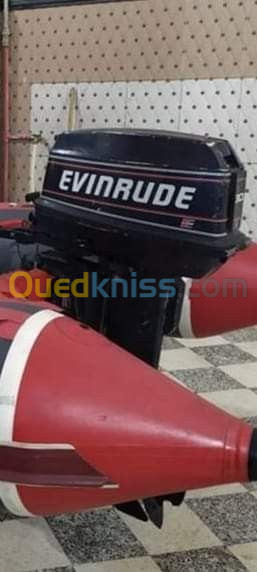 Evinrude Evinrude 30 ch 