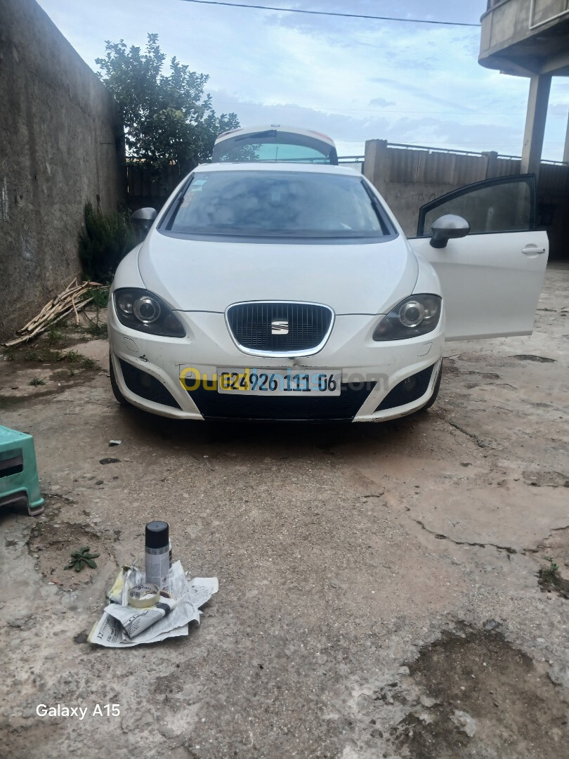 Seat Leon 2011 Fully