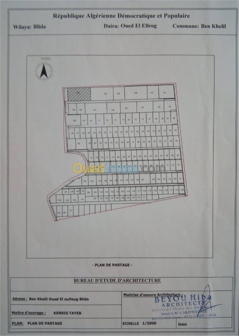 Vente Terrain Blida Ben khellil