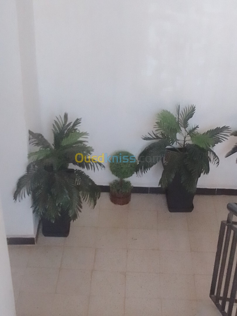 Vente Appartement F3 Alger El achour