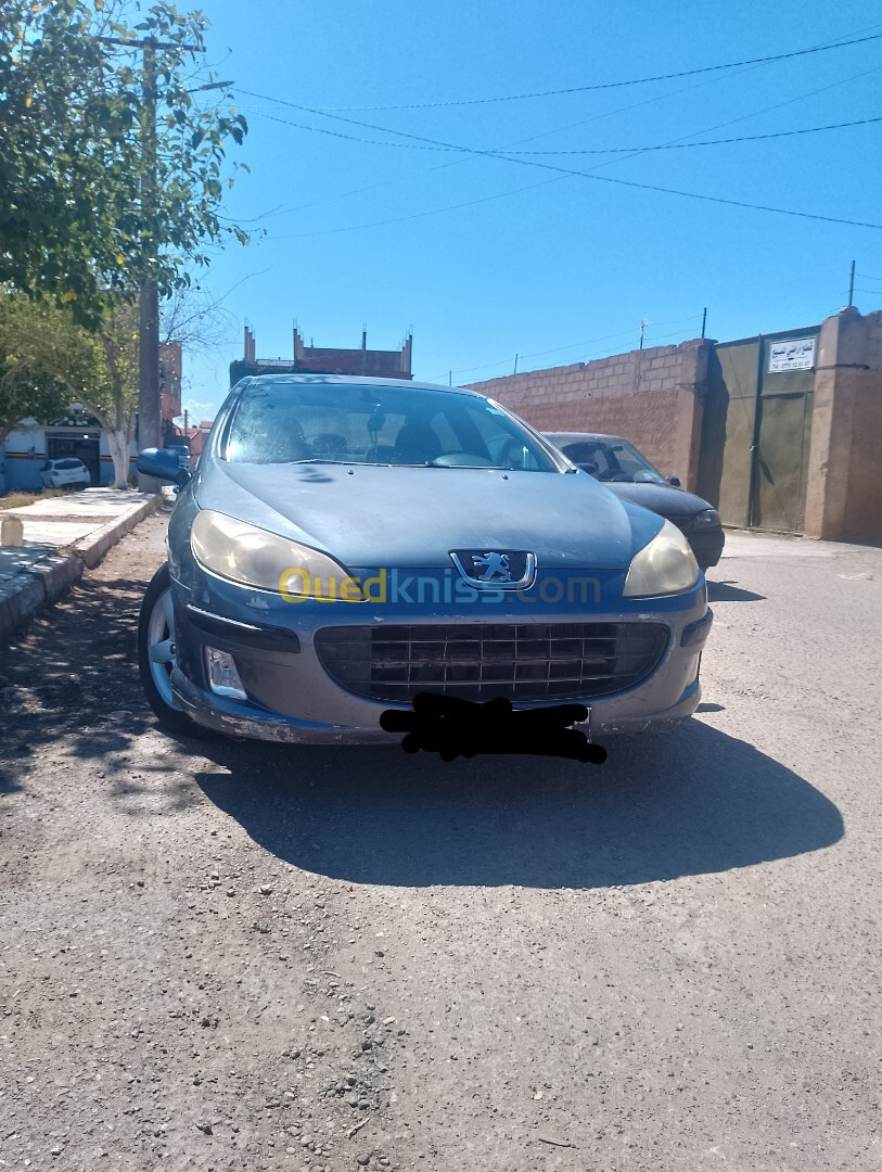 Peugeot 407 2005 407