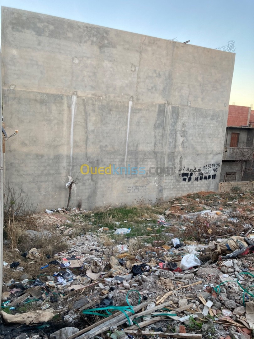 Vente Terrain Sétif Ain arnat