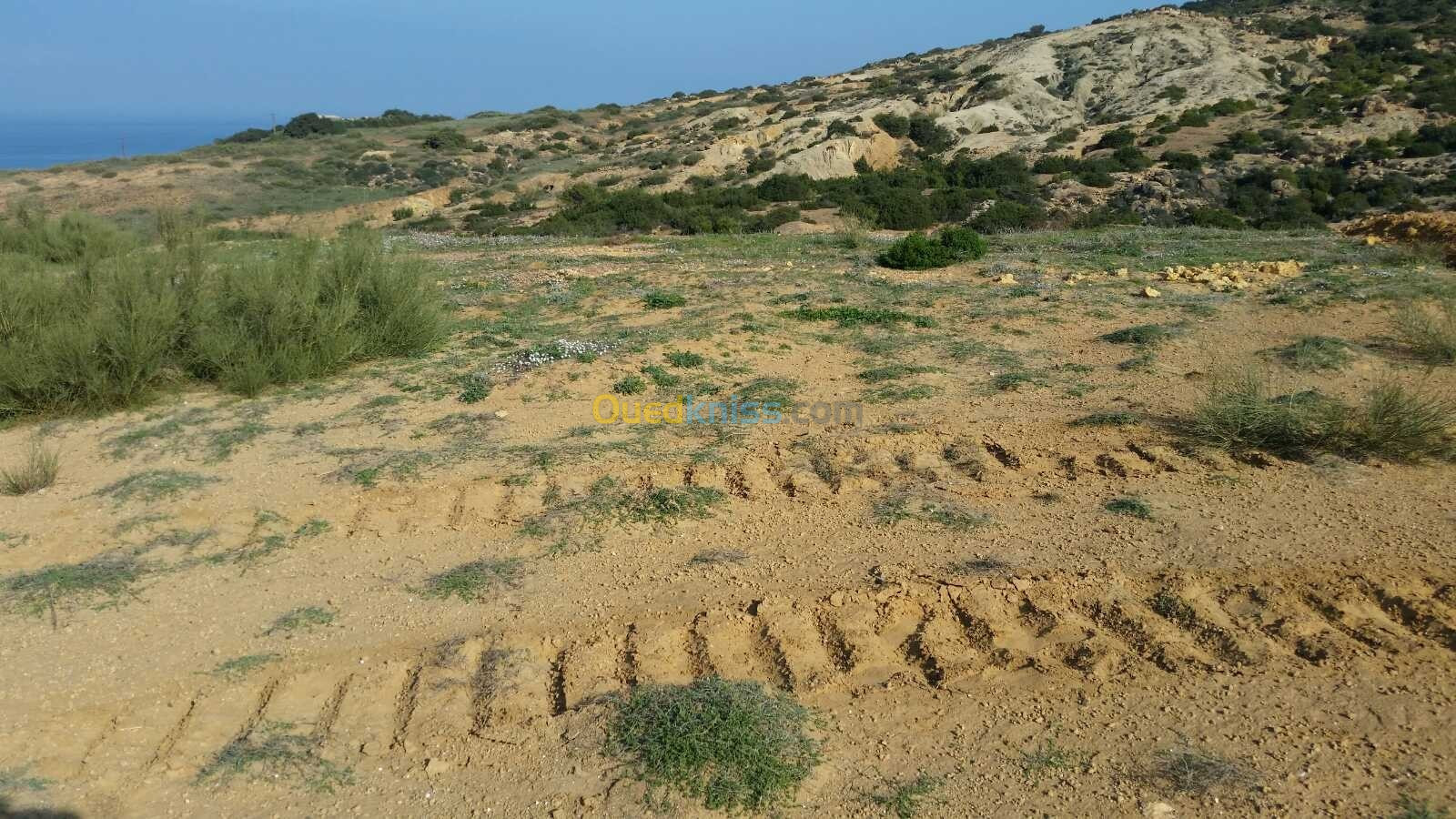 Vente Terrain Mostaganem Abdelmalek ramdane