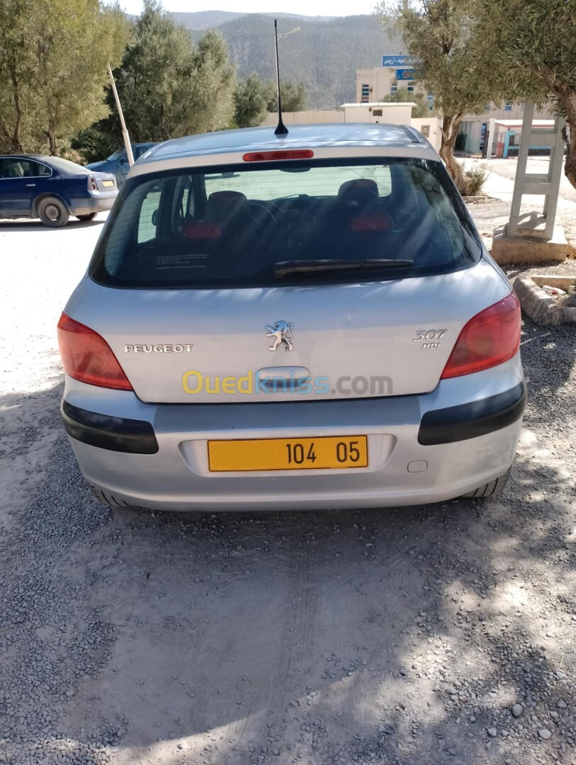 Peugeot 307 2004 307