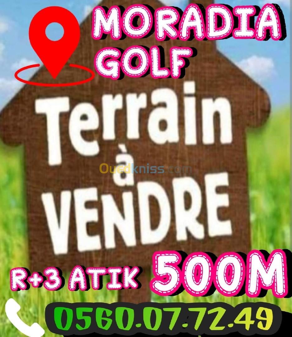 Vente Terrain Alger El mouradia