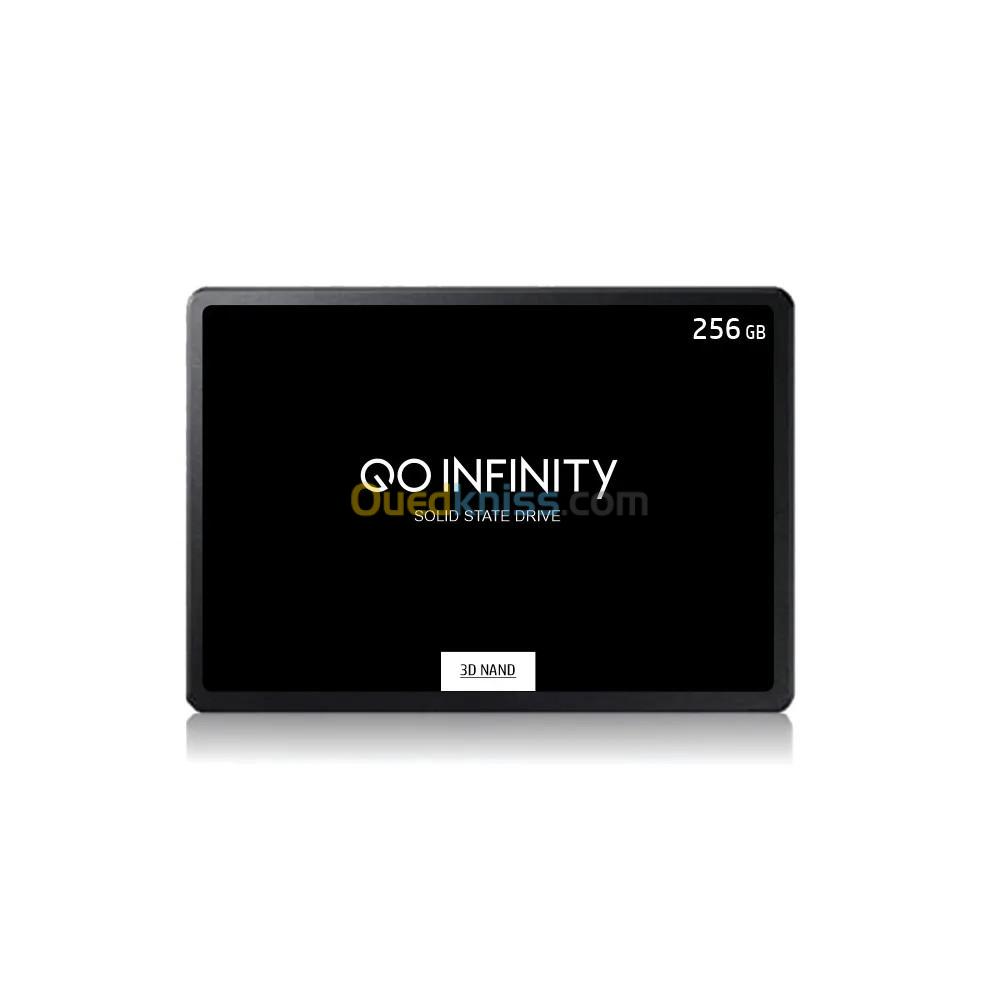 Disque SSD Go Infinity 256 Go SATA III