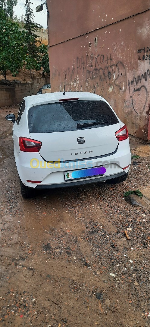 Seat Ibiza 2013 Fully