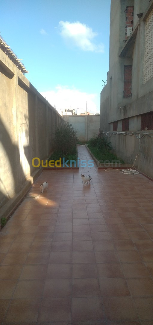 Vente Villa Alger Ouled fayet