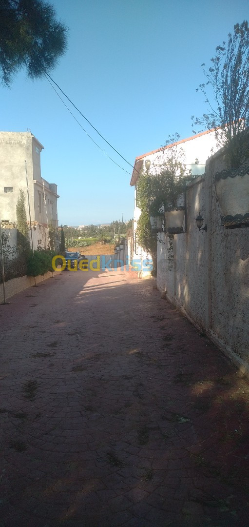 Vente Villa Alger Ouled fayet