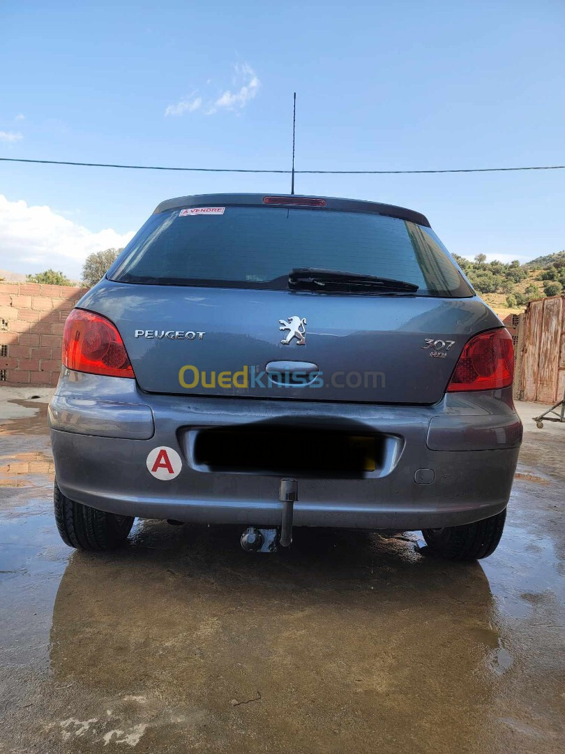 Peugeot 307 2007 Oxygo