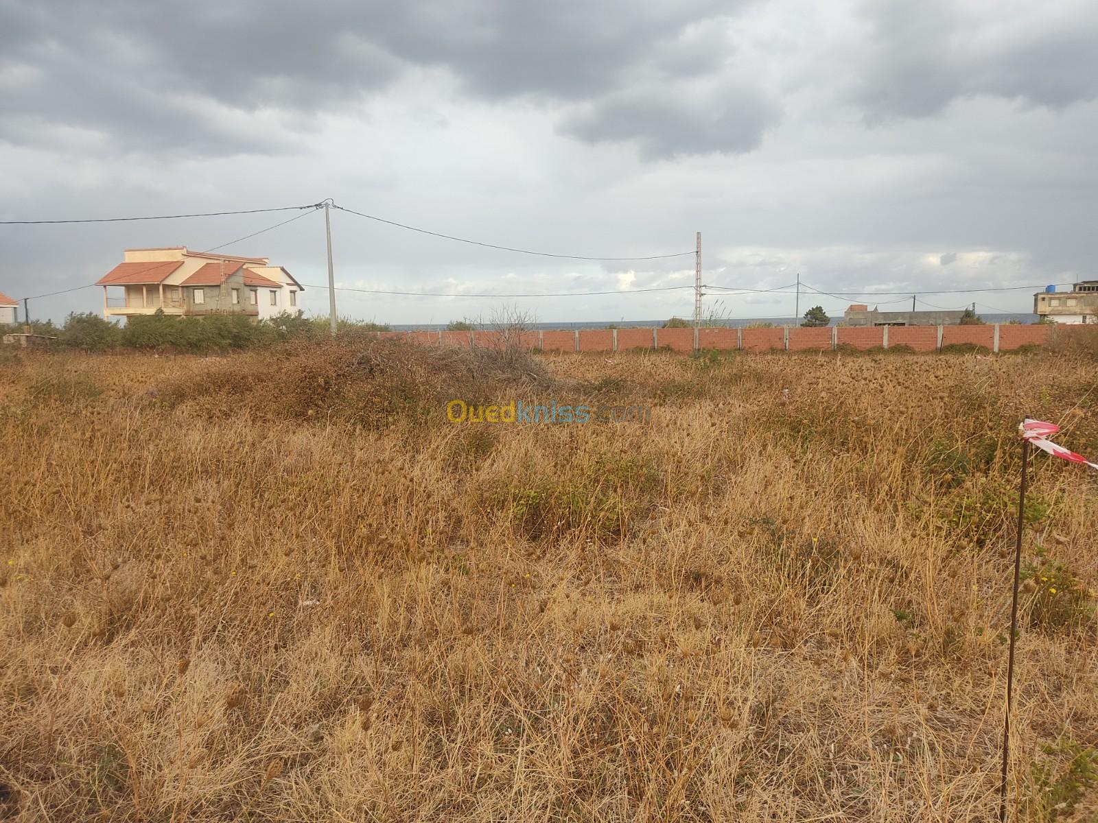 Vente Terrain Tizi Ouzou Azeffoun Tizi Ouzou Algérie