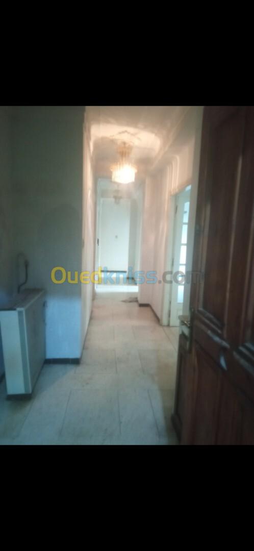 Location Appartement F5 Alger Bab ezzouar