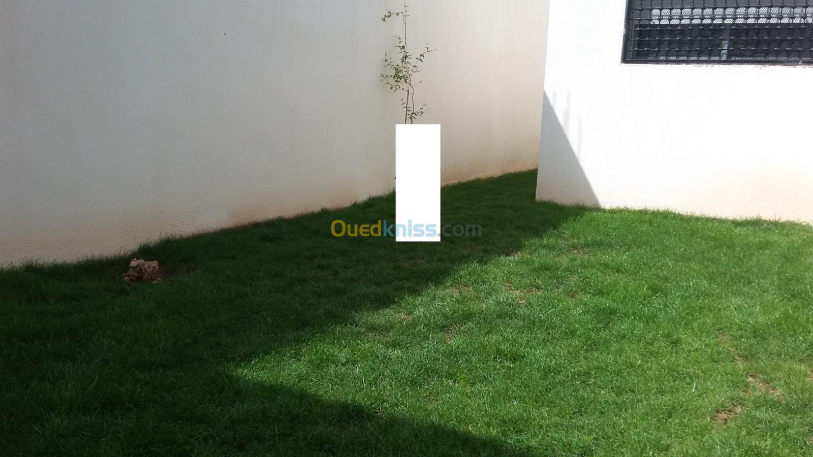 Vente Niveau De Villa F3 Tebessa Tebessa