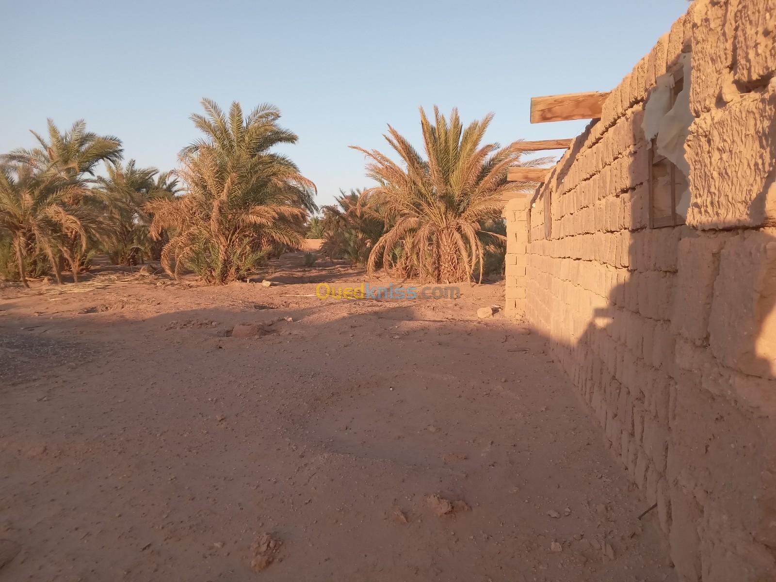 Vente Terrain Agricole Adrar Adrar