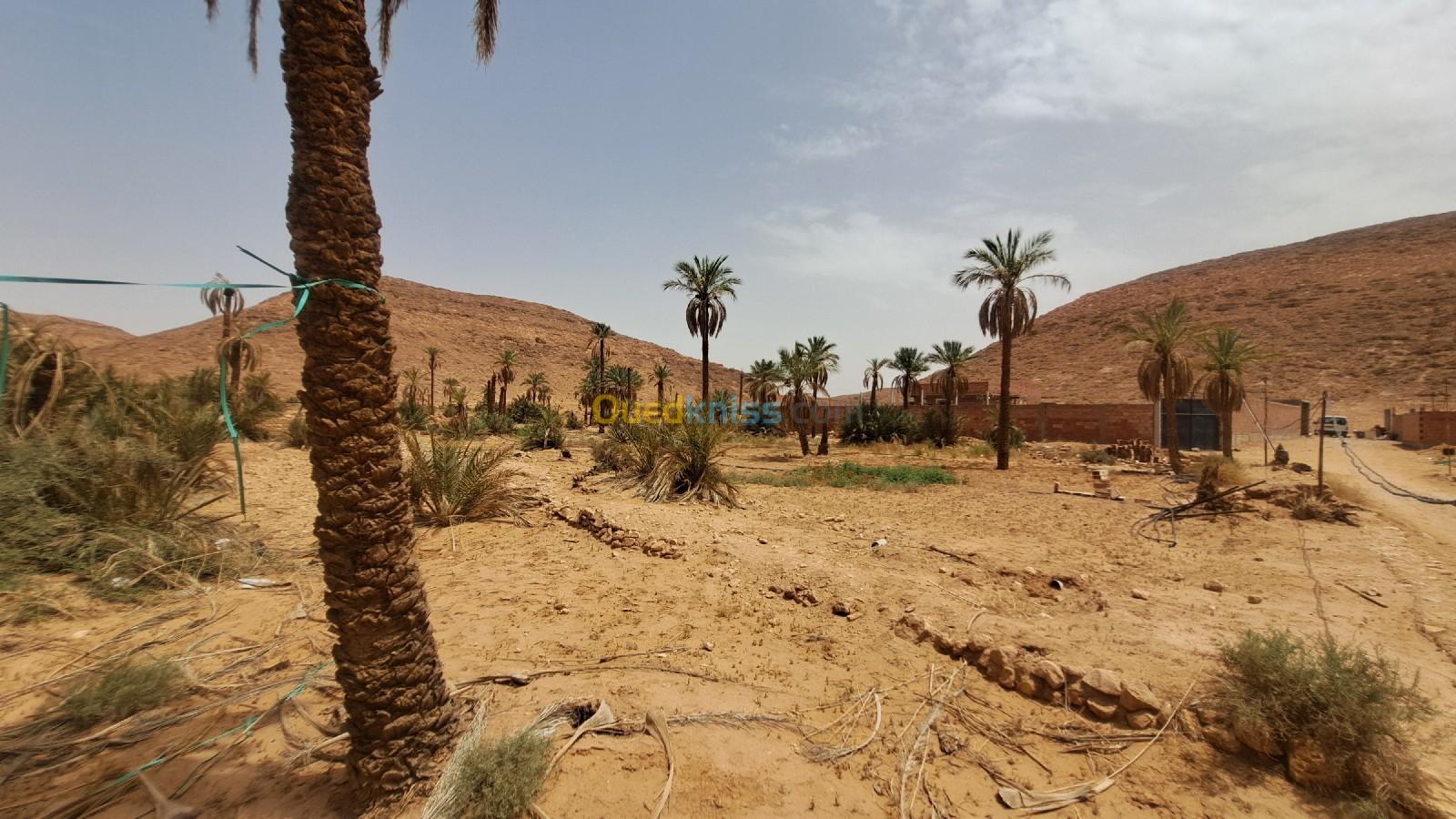 Vente Terrain Ghardaïa El atteuf