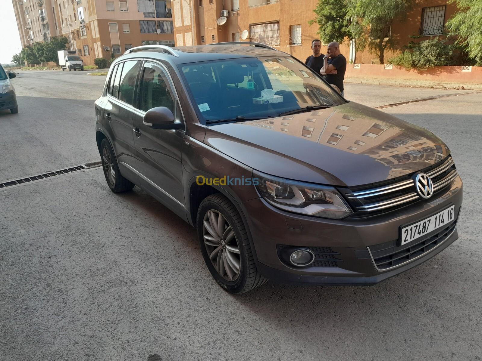 Volkswagen Tiguan 2014 Cup