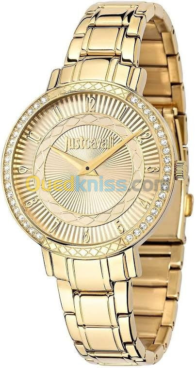 Montre just 2024 cavalli prix